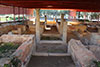 Excavacin Yacimiento Domus del Mitreo (Mrida, Badajoz) . Campaa de Excavacin
